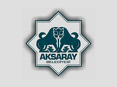 AKSARAY GÜNEŞ ENERJİSİ VE MODÜLER